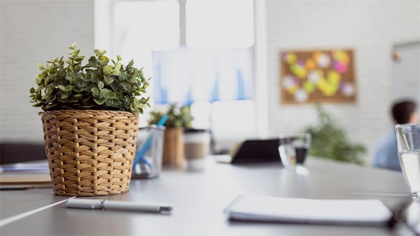 PeterDesignCo — Immersive 3D Room Design Studio